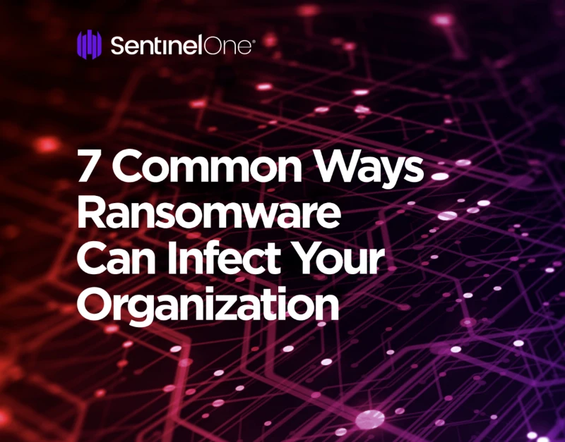 Ransomware, Organization