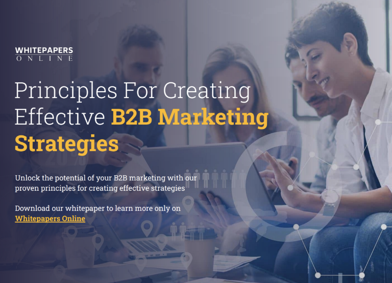 principles of b2b marketing