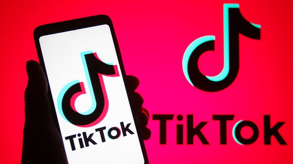 TikTok, Talent, Manager, Portal