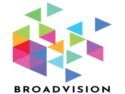 Broadvision's Middleware snapshot view.